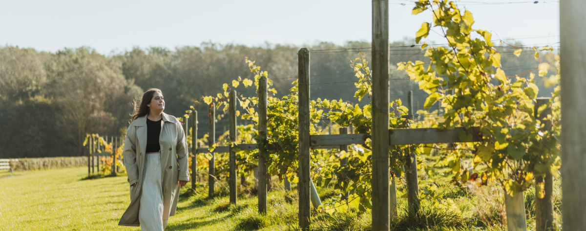 A woman strolling by the vines at Flamborough Glamping and Vineyard in East Yorkshire.