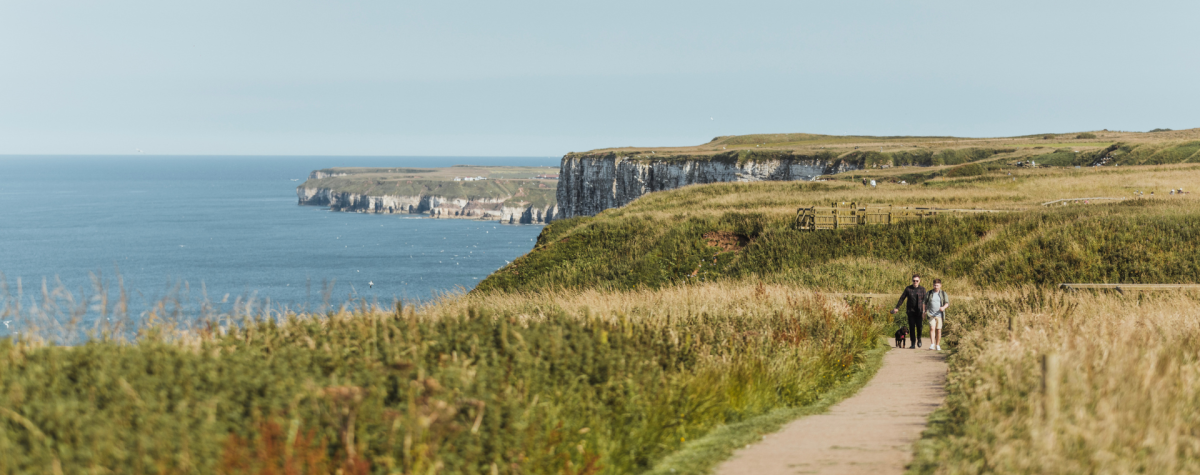 A panoramic view of RSPB Bempton Cliffs, with a couple walking along a path with their dog.