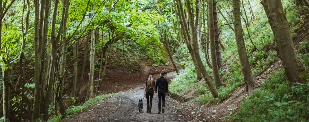 A couple walking their dog through the leafy Danes Dyke Nature Reserve in East Yorkshire.