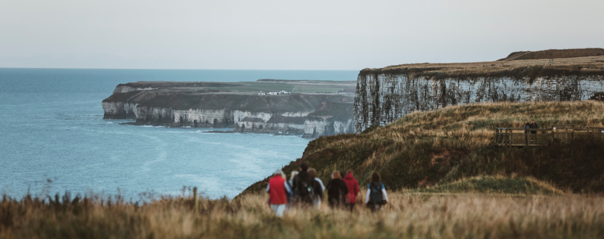 Bempton Cliffs in autumn