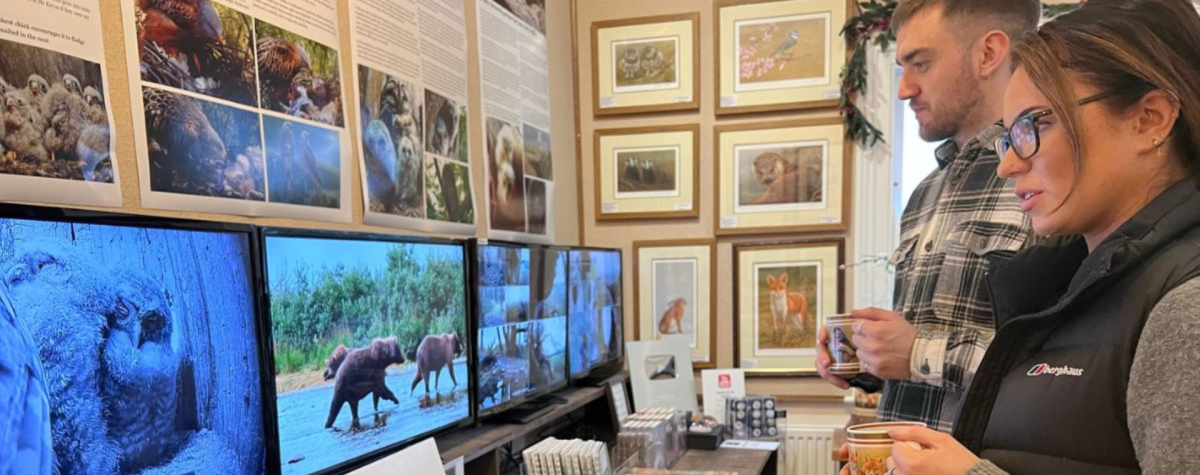 Two people watching the live camera wildlife feeds at the Robert Fuller Gallery in Thixendale, East Yorkshire