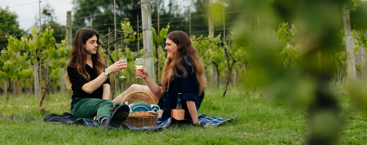 A couple enjoying a picnic, sat amongst the vines at Laurel Vines Vineyard and Winery in Aike, East Yorkshire.