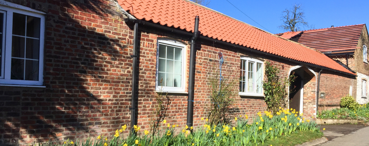 The outside of Cupid's Cottage with a row of daffodils at Bessingby Mews near Bridlington.