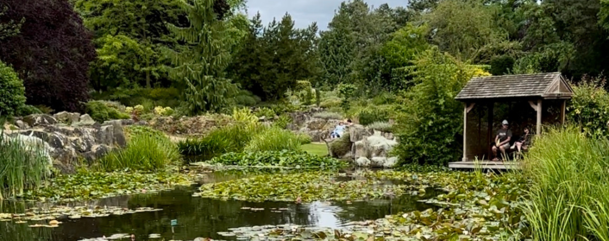 Burnby Hall Gardens in Pocklington, East Yorkshire