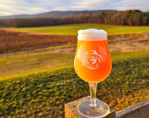 golden beer with a scenic field landscape