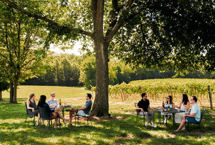 DTN - PPS - Wineries - Noboleis Vineyards