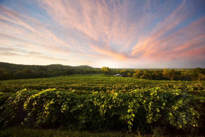 Augusta Winery