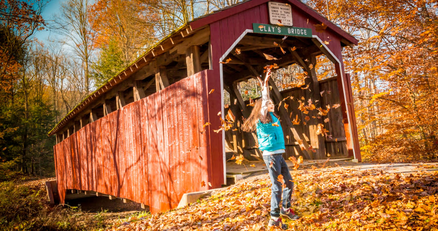 Fall Little Buffalo