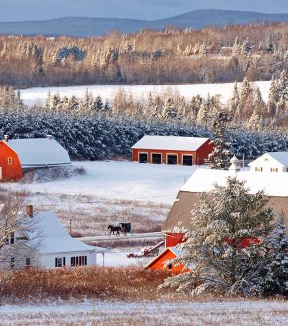 Aroostook County Winter Barn