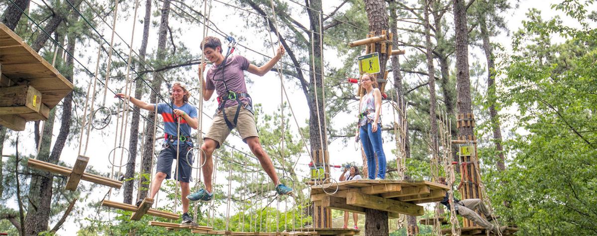 Go Ape Park Tree Course