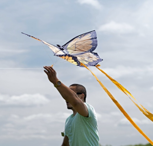 Kite Fest