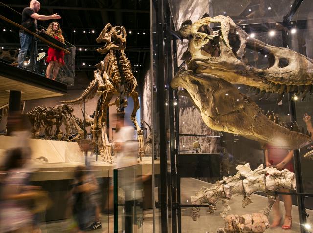 Dinosaurs at The Natural History Museum of Utah