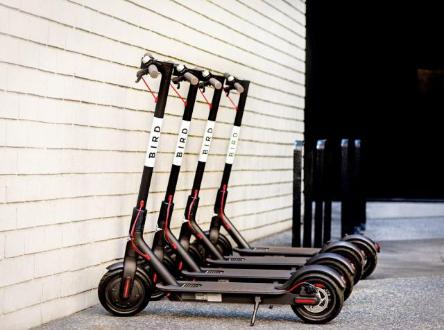 Bird Scooters Parked in a Row