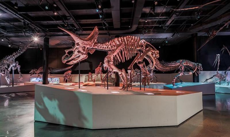 Houston Museum of Natural Science