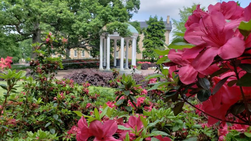 Old Well on UNC - Chapel Hill Campus