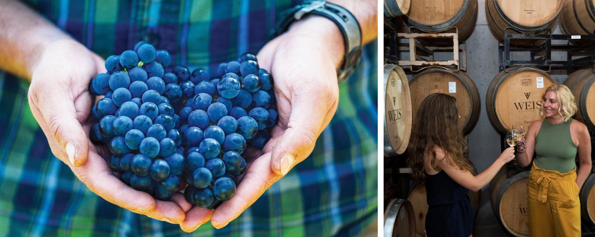 Wine Grapes & Barrel Room