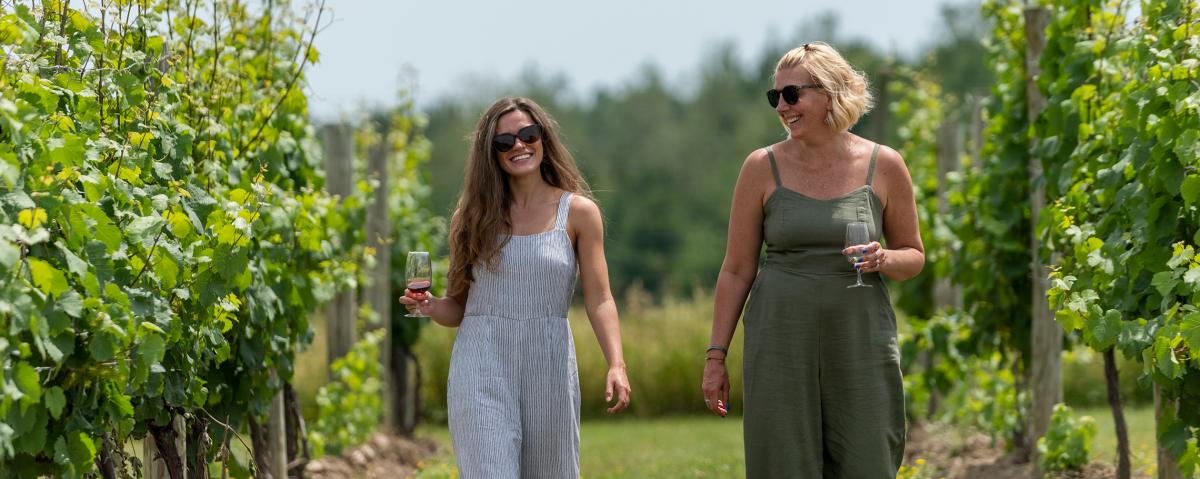 Walk through the Vineyard