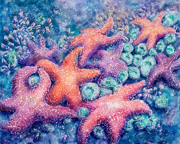 "Galaxy of Sea Stars"