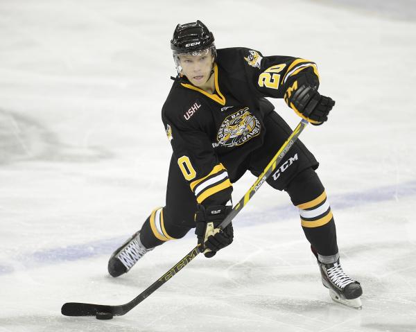 Hockey Gamblers