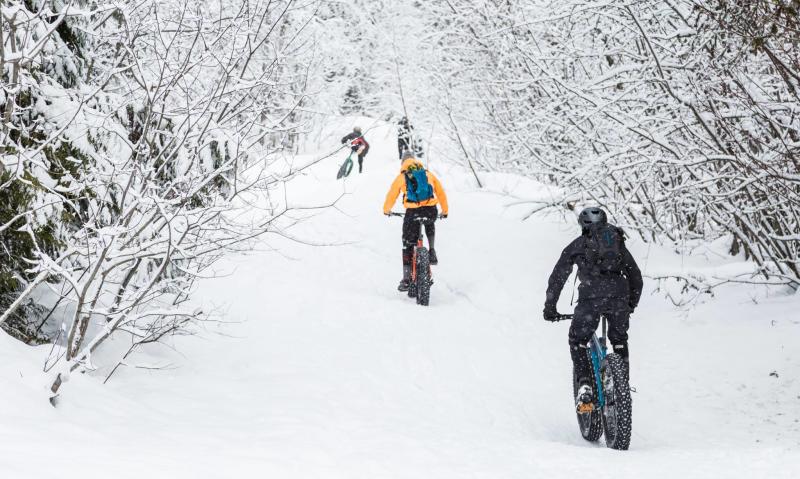 people fat biking on trail