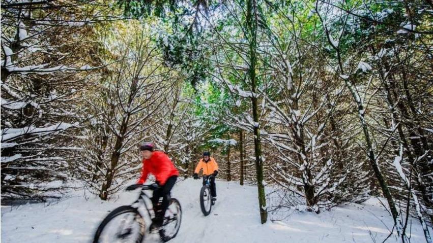 People biking in the snow