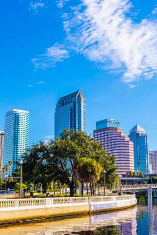 downtown Tampa skyline along the water