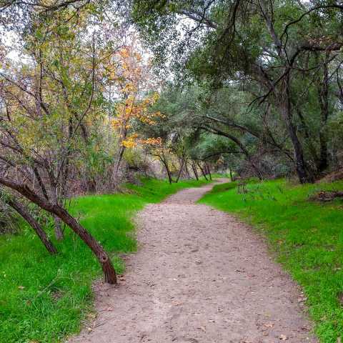 Santa Margarita Trail Preserve