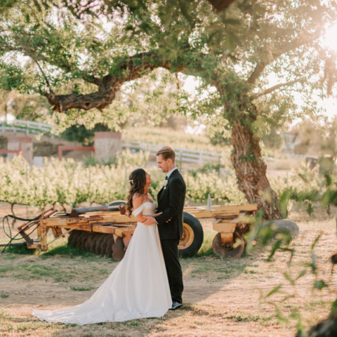 Bride & Groom