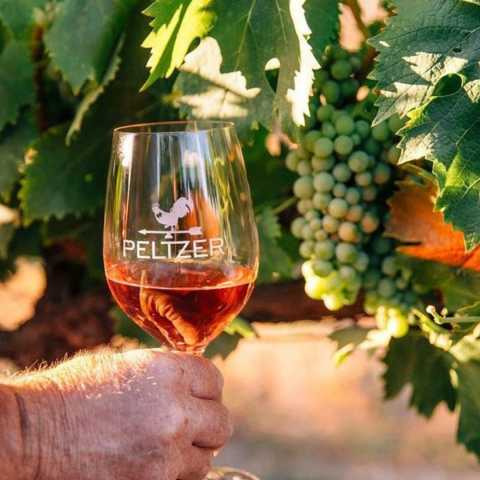 Peltzer Farm & Winery