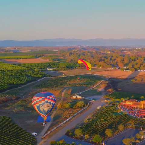 Aerial Antics Paramotor