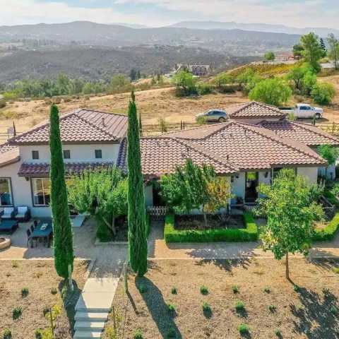 Vineyard Estate