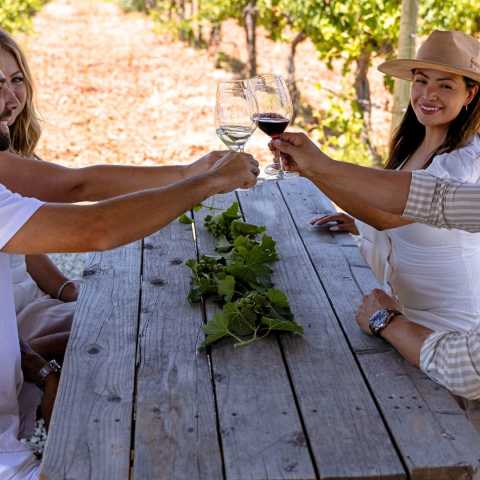 Couples Toasting to Vineyard Adventures