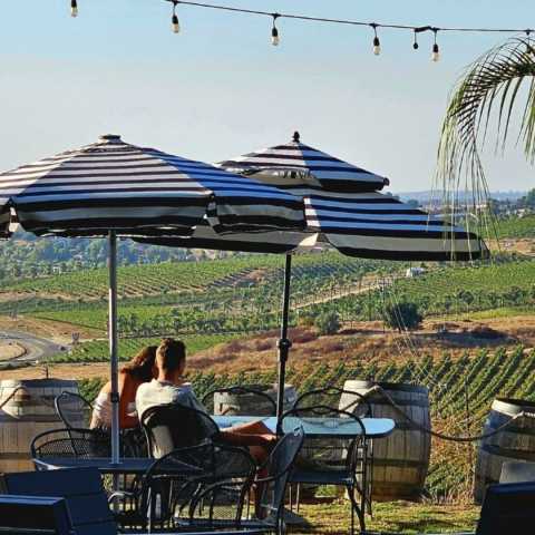 Bella Vista Vineyard & Winery