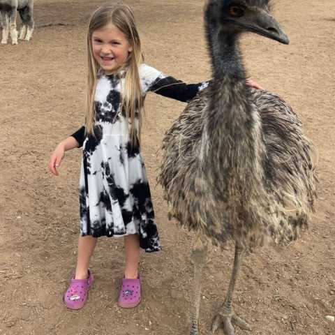 Chick-Ranch