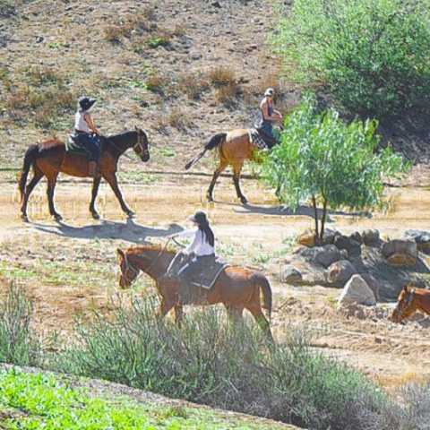 Horseback Riding - Green Acres Ranch Inc.