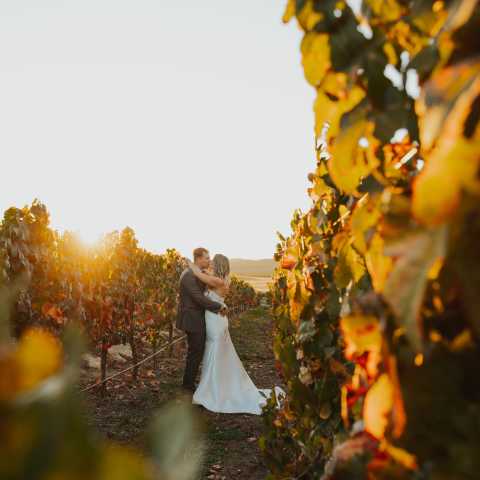 Beautiful Wedding at Doffo Winery