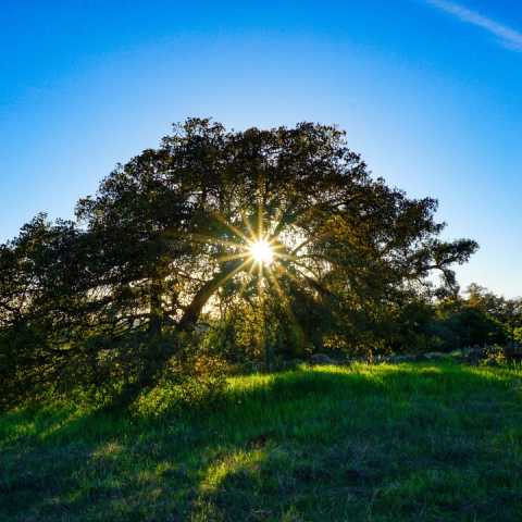 Santa Rosa Plateau