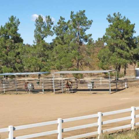 Sycamore Springs Ranch
