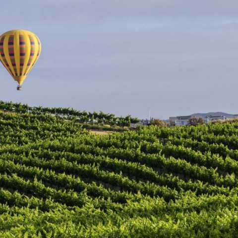 Wine Country Villa