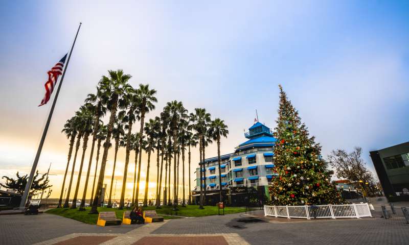 Holiday Christmas Tree in Jack London Square