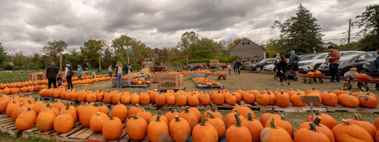 Fall