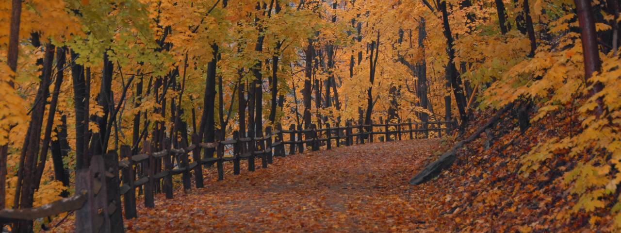 Perkiomen Trail in Fall