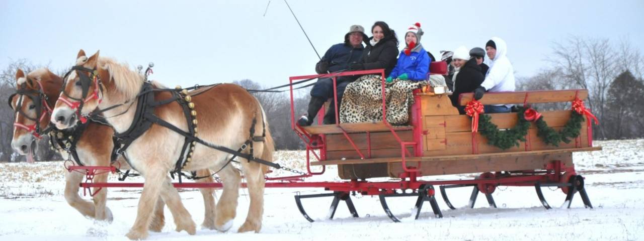 NORTHERN STAR FARM