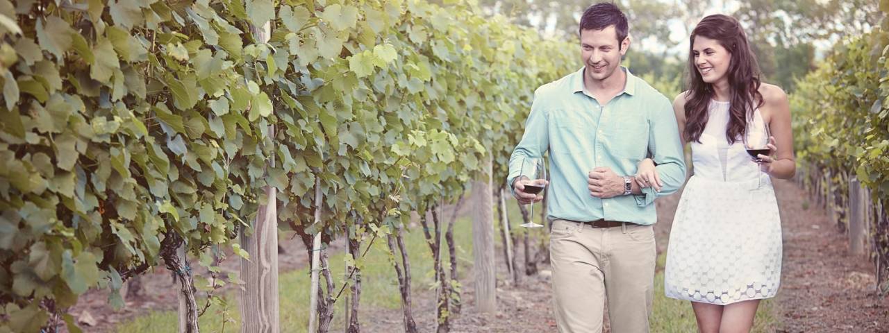 Copy of Bucks County Wine Trail