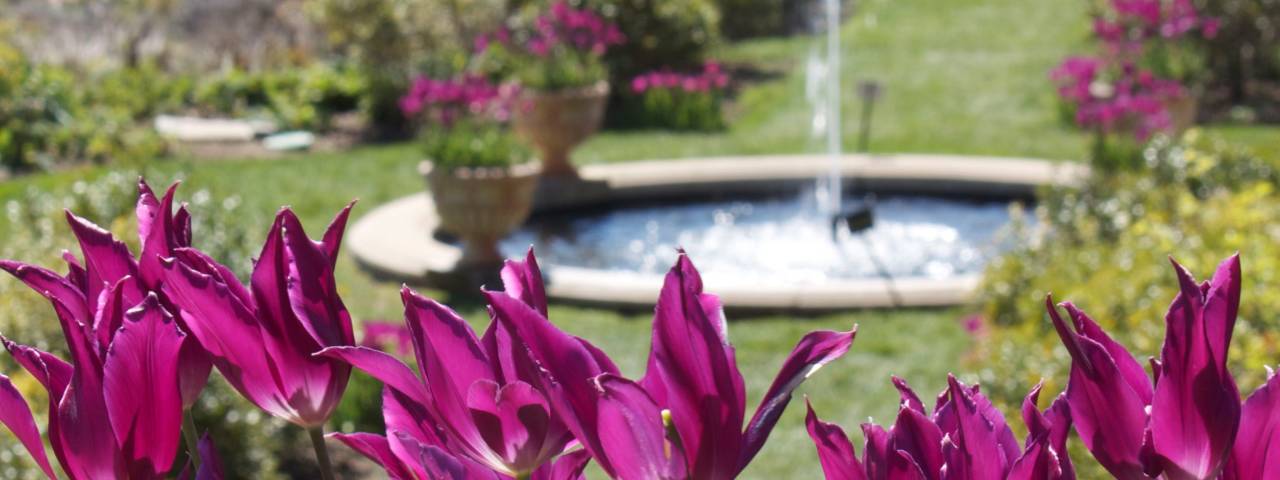 GARDENS HEADER