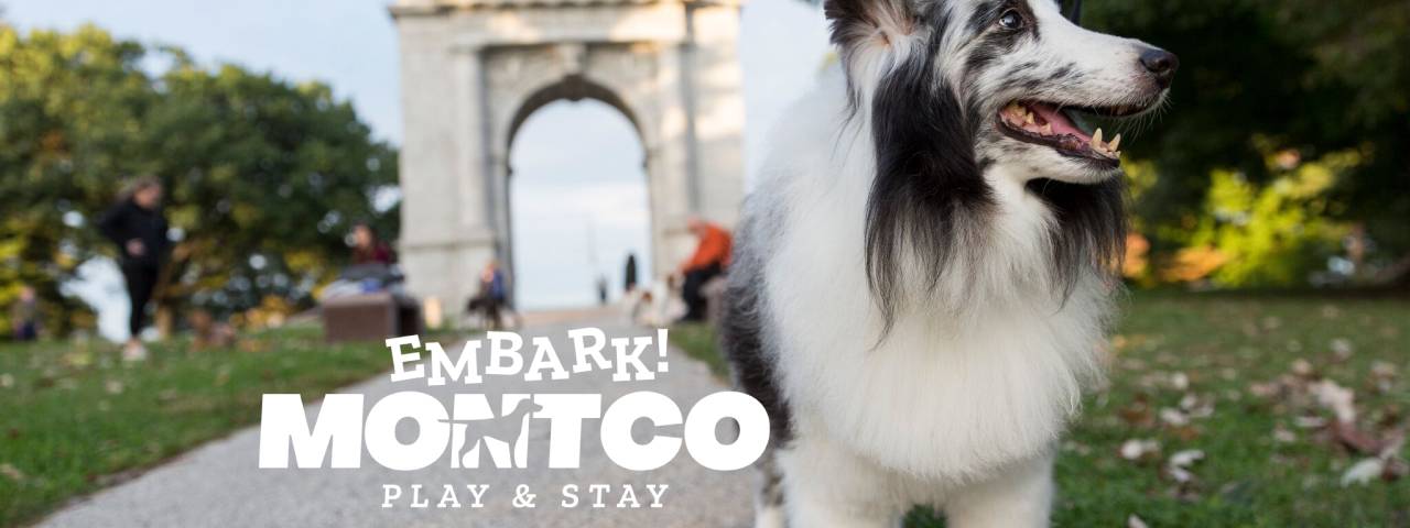 Embark Montco Arch