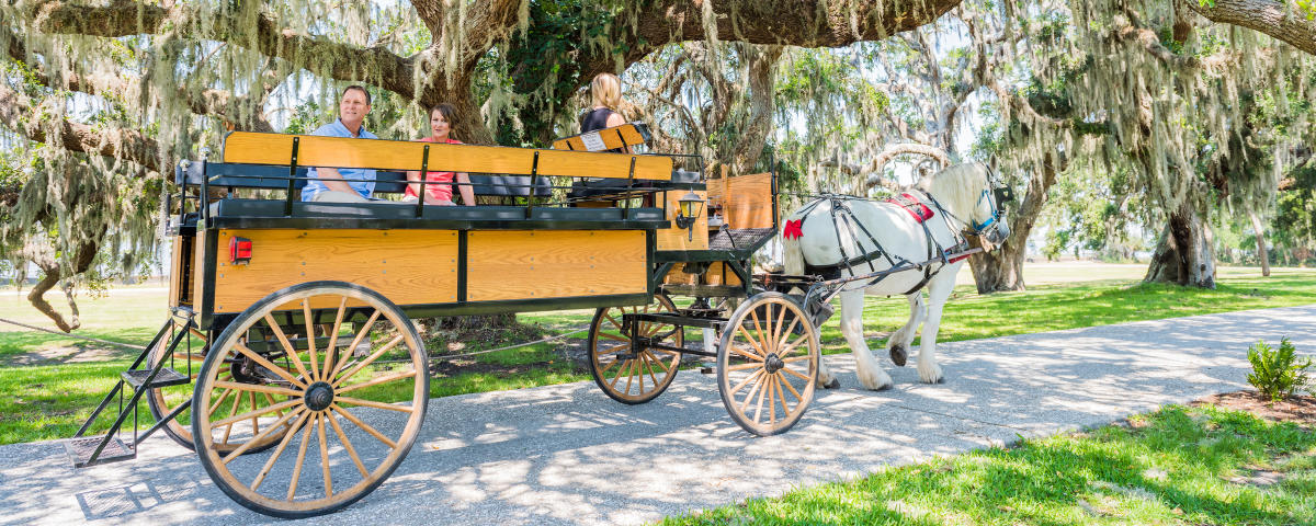 Horse and carriage in the Jekyll Island Historic District
