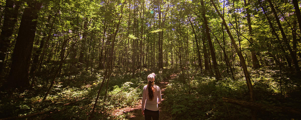 Summer Hiking