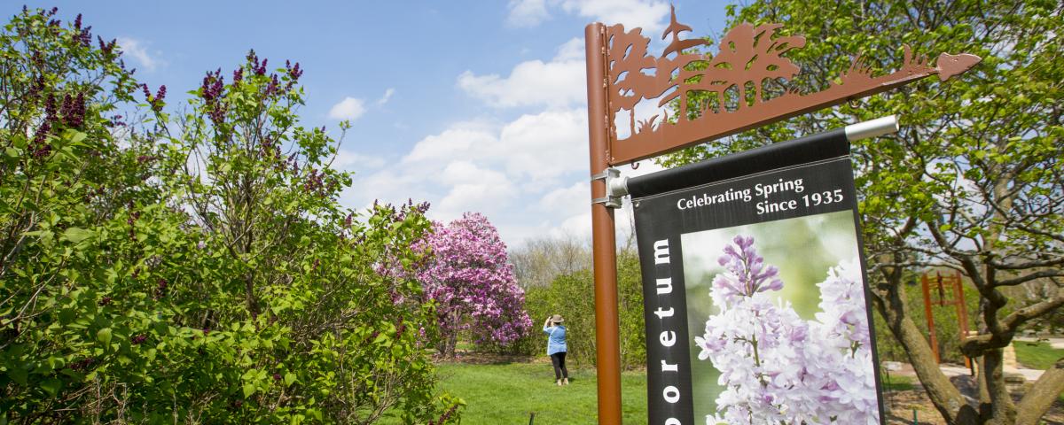 Blooming trees at UW-Madison Arboretum in Spring