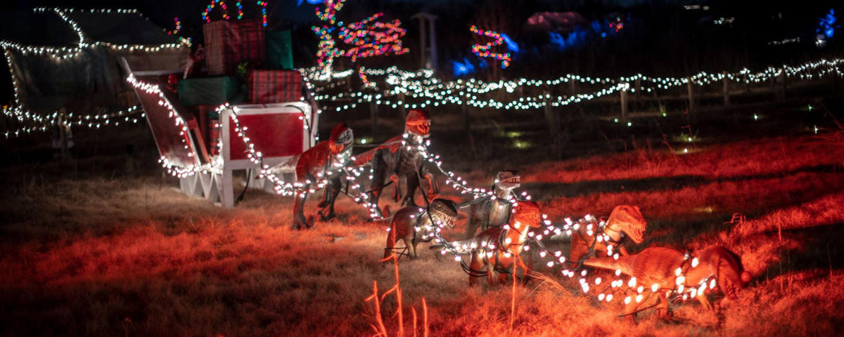 A santa sleigh decorated in lights with tiny animatronic dinosaurs set up to look as though they are pulling the sleigh